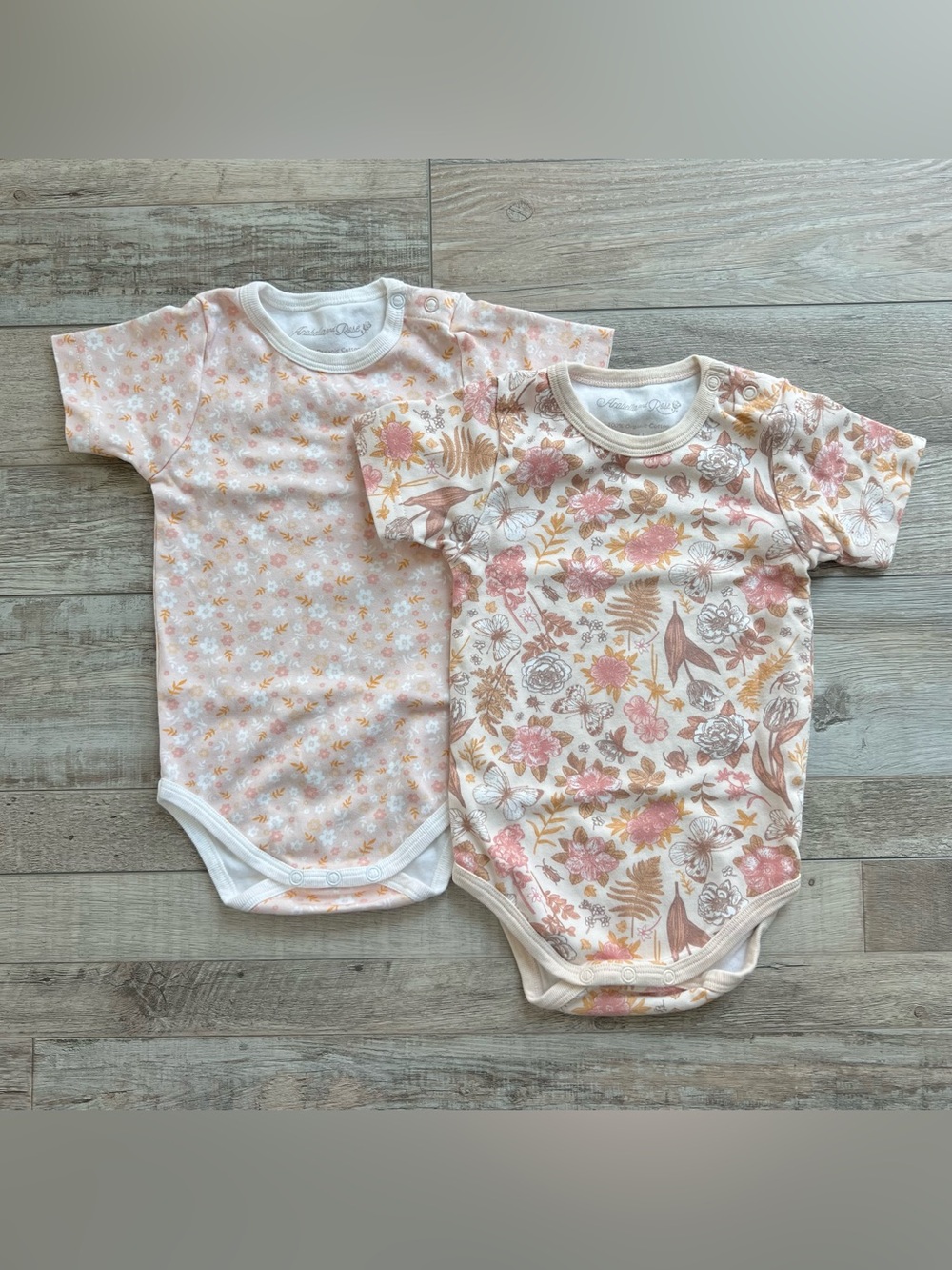 Arabella & Rose Girls Floral Onesie Bundle of 2 Size 12 Months